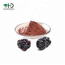 Nice Fruit Juice Powder Blackberry Juice Powder, Blackberry Powder